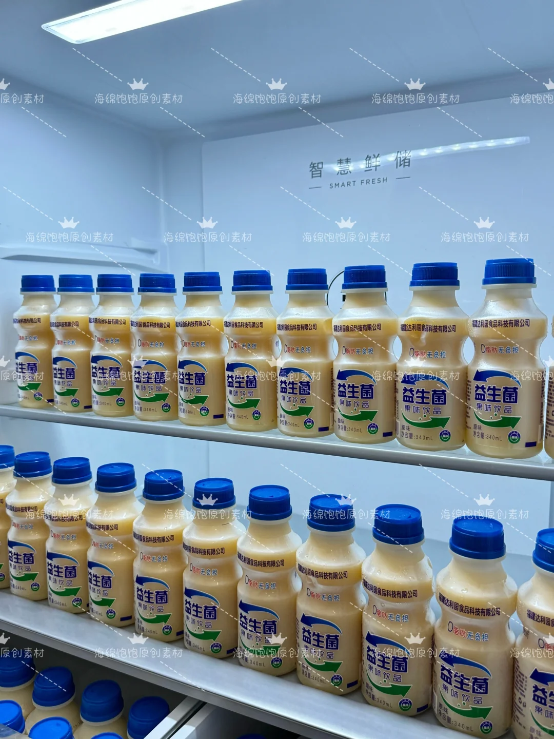 达利园益生菌乳品