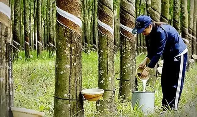 RCEP通关秘籍：做生意成本狂降！