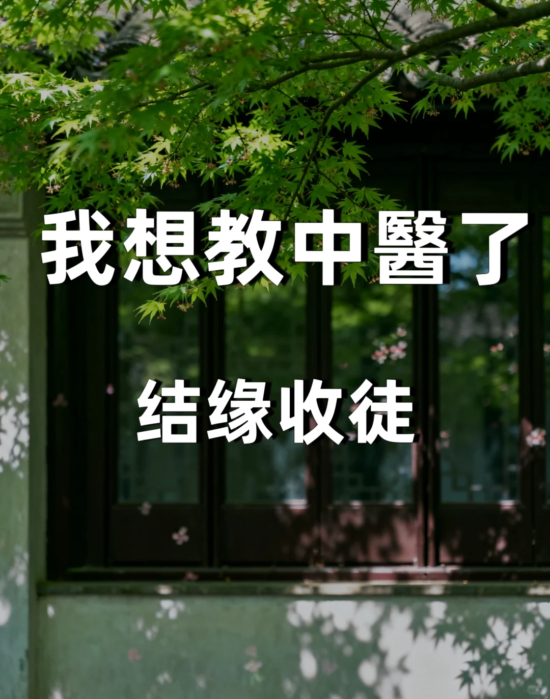 中醫传承学习，可以零基础