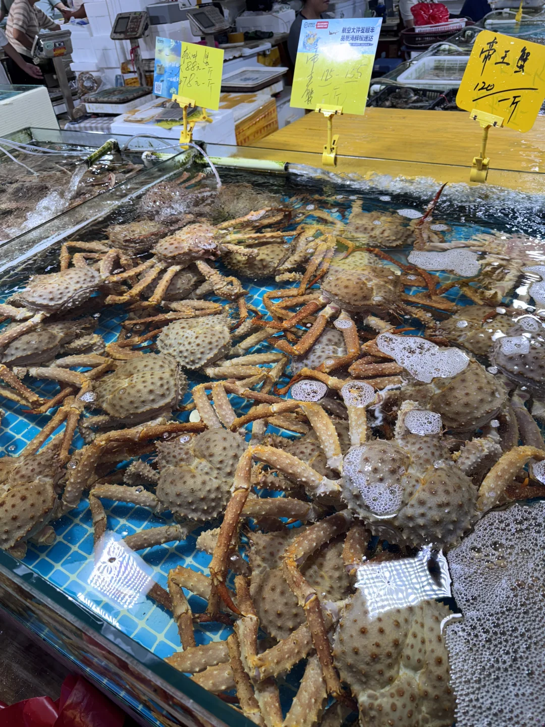 日照石臼海鲜市场｜本地人带路防坑指南