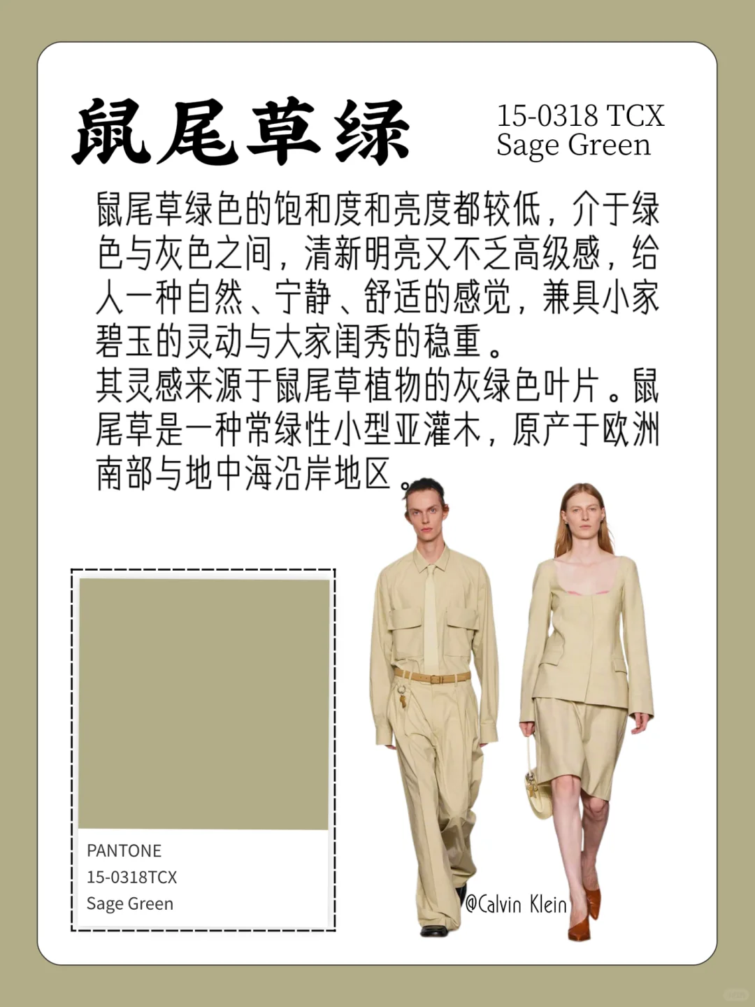 色彩流行趋势｜2026春夏流行色