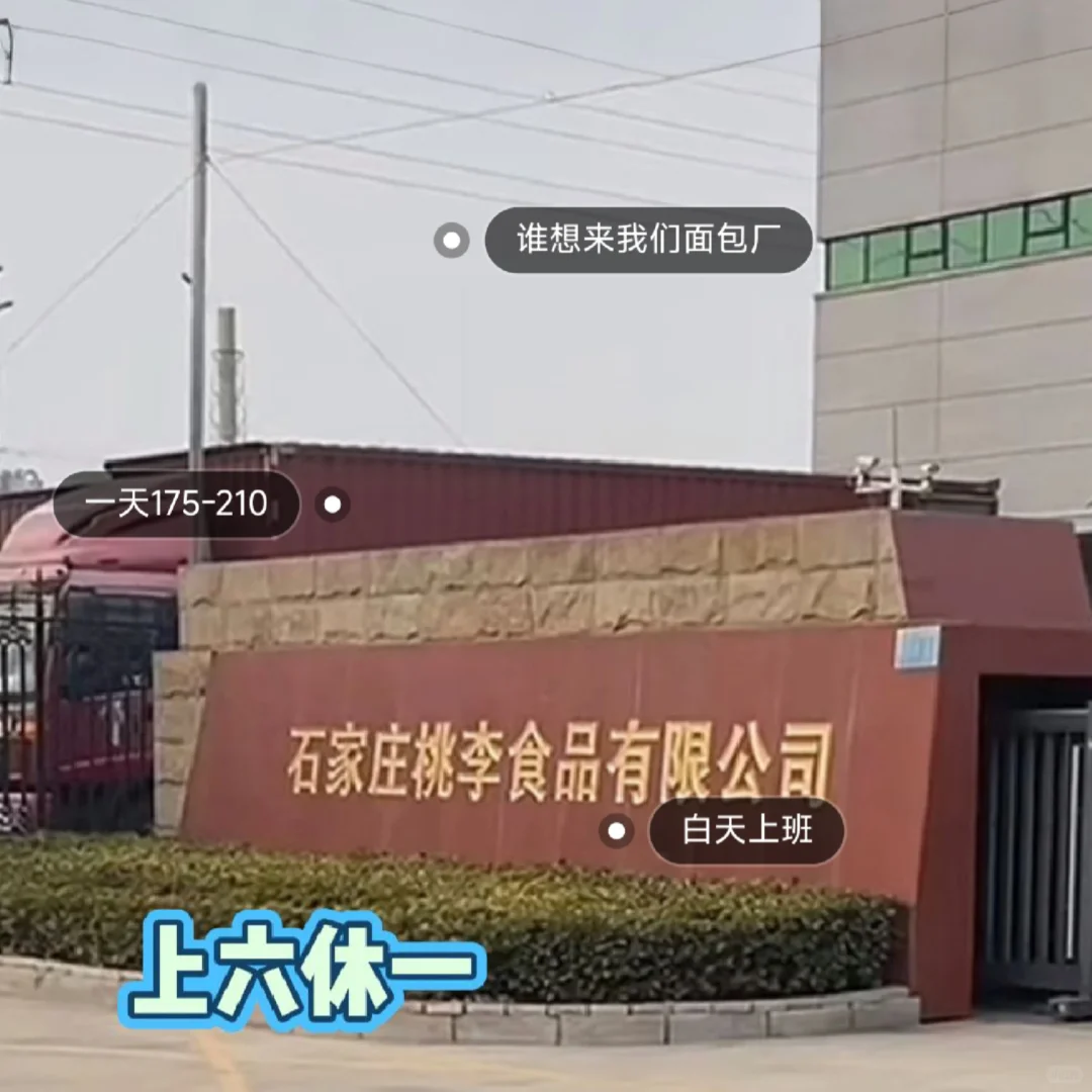 石家庄面包厂能不能去