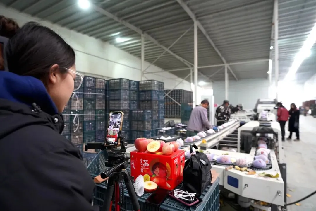 特色林果绘锦绣，企业奋进奏强音