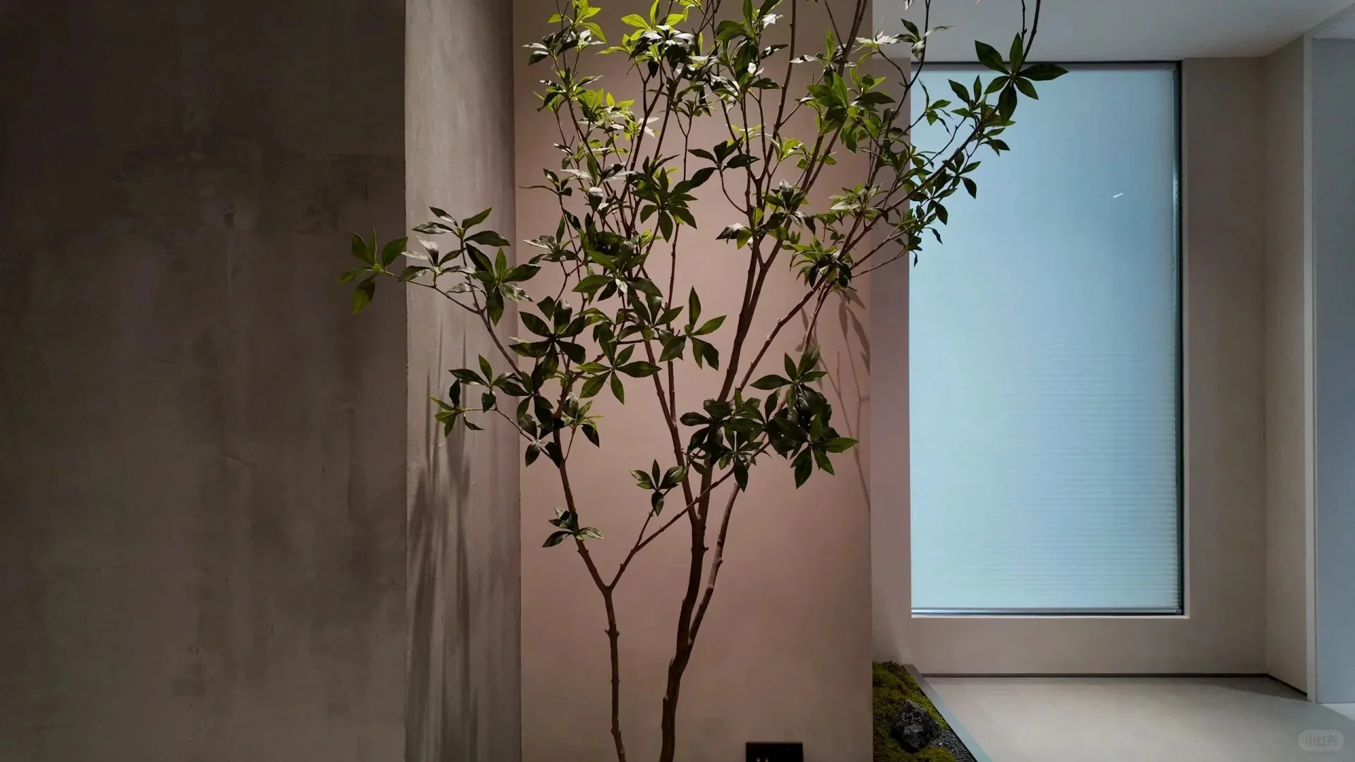 苹果智能家居，推荐！！！