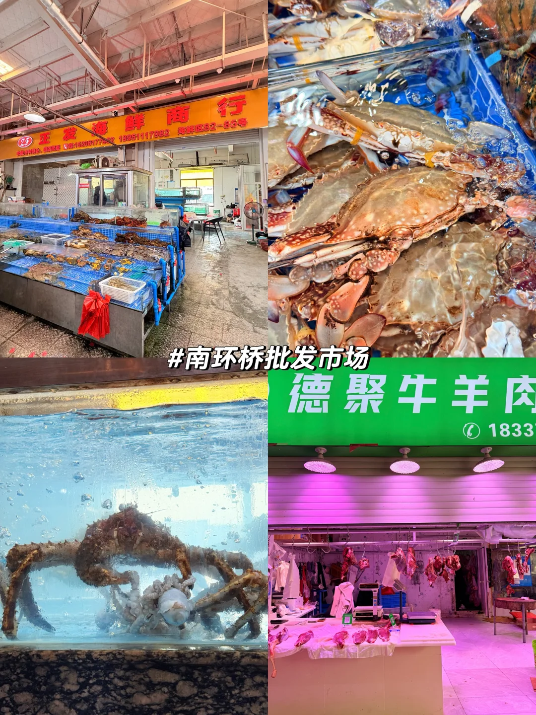 苏州南环桥｜探索海鲜采买加工一条龙（攻略）