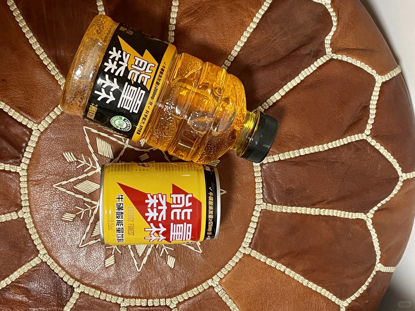 能量森林｜完美地平衡你的健康与生活