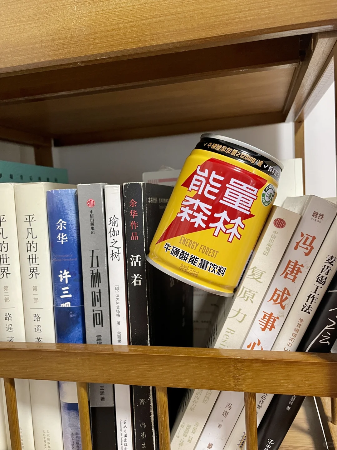 能量森林｜完美地平衡你的健康与生活