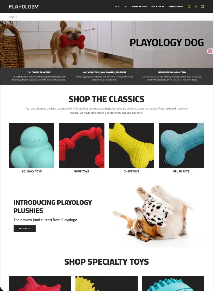 ??宠物用品做海外，年营收1000万美金！