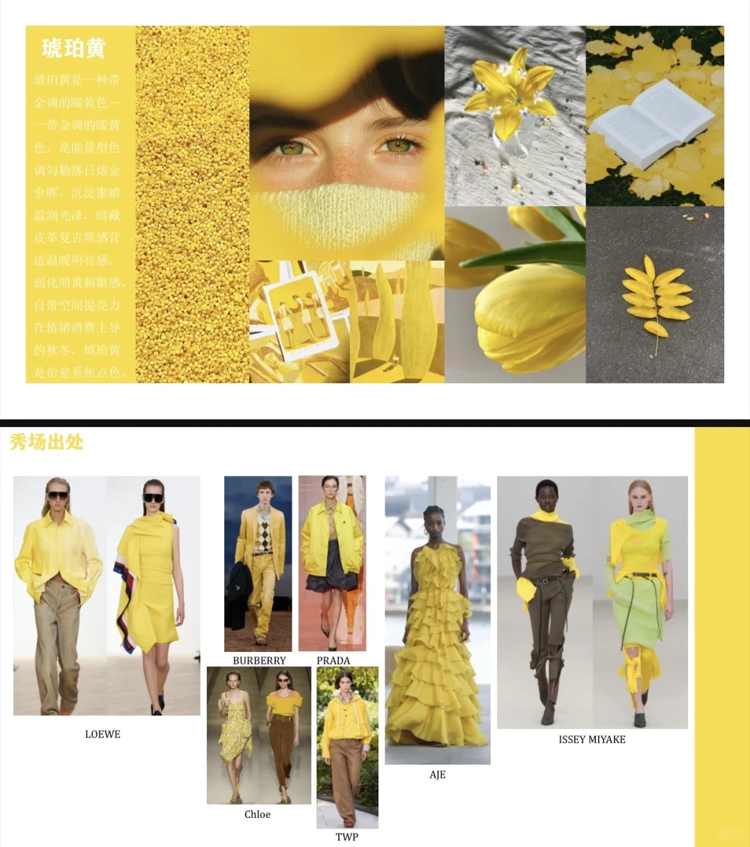 2026春夏流行趋势调研PPT