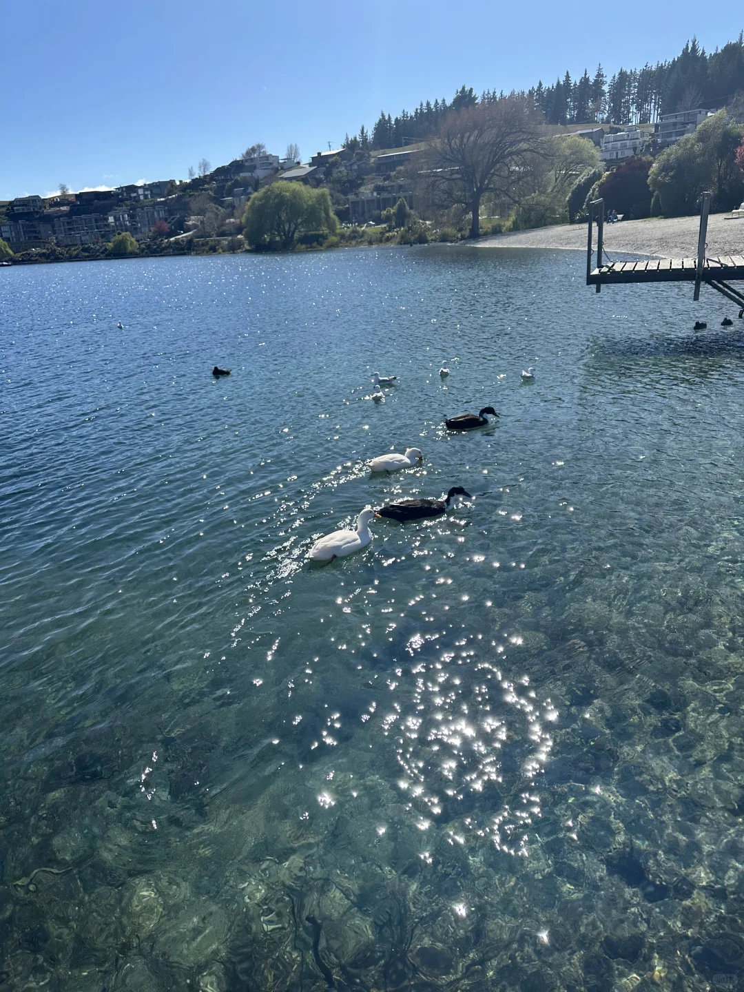 能源-我的零碎思考