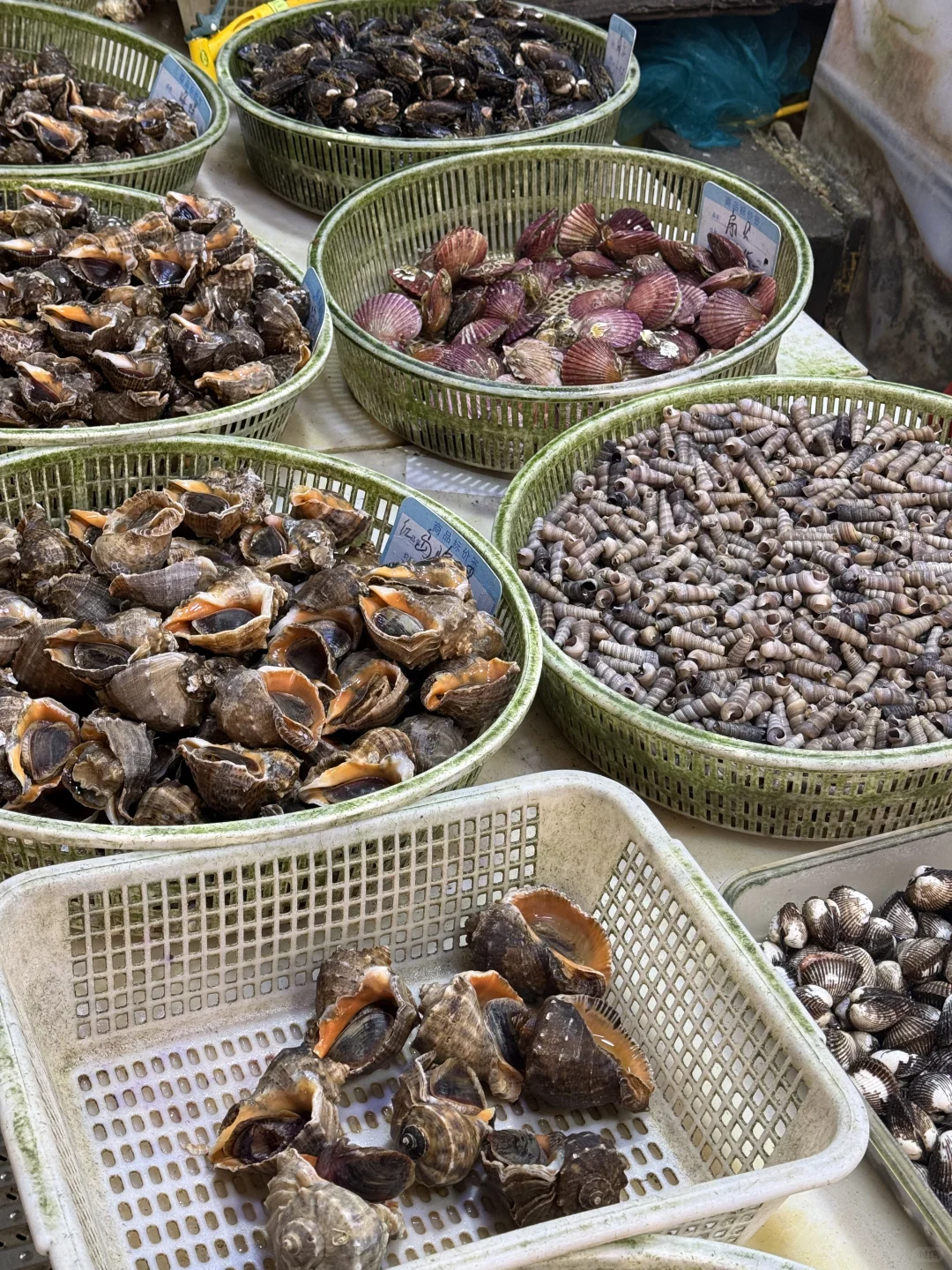 青岛海鲜最肥的季节｜海鲜加工最全攻略来喽