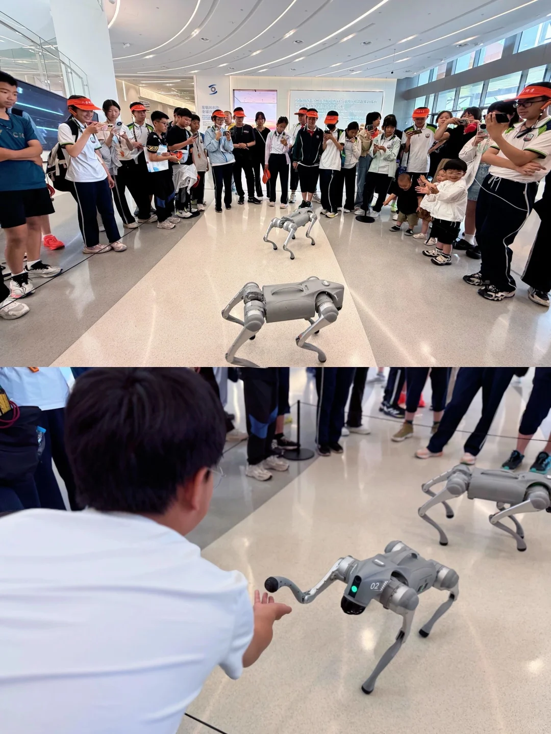 @所有嘉兴家长：您有一份秋假福利待查收！