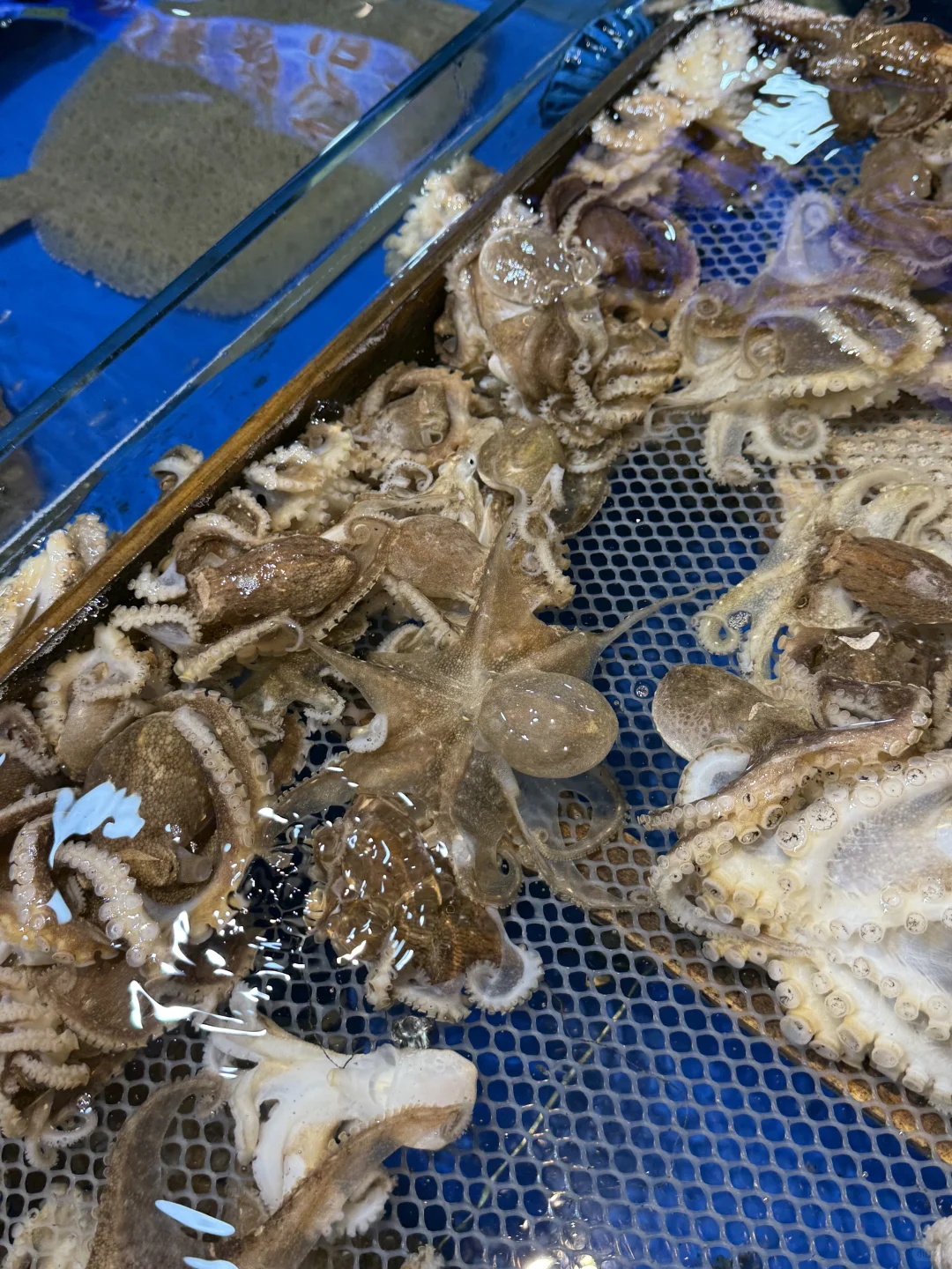 雨过天晴~是时候去吃一顿海鲜大餐了!!!