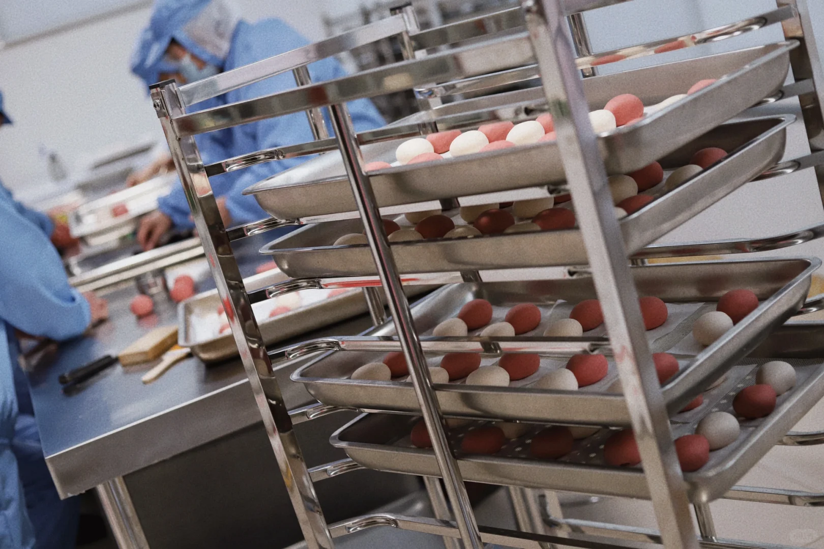 工厂每日在线～～～?