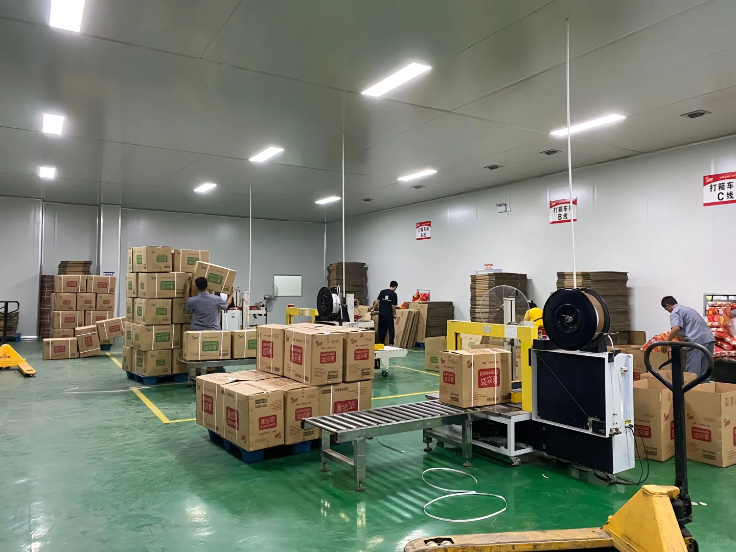 实拍薯片加工厂