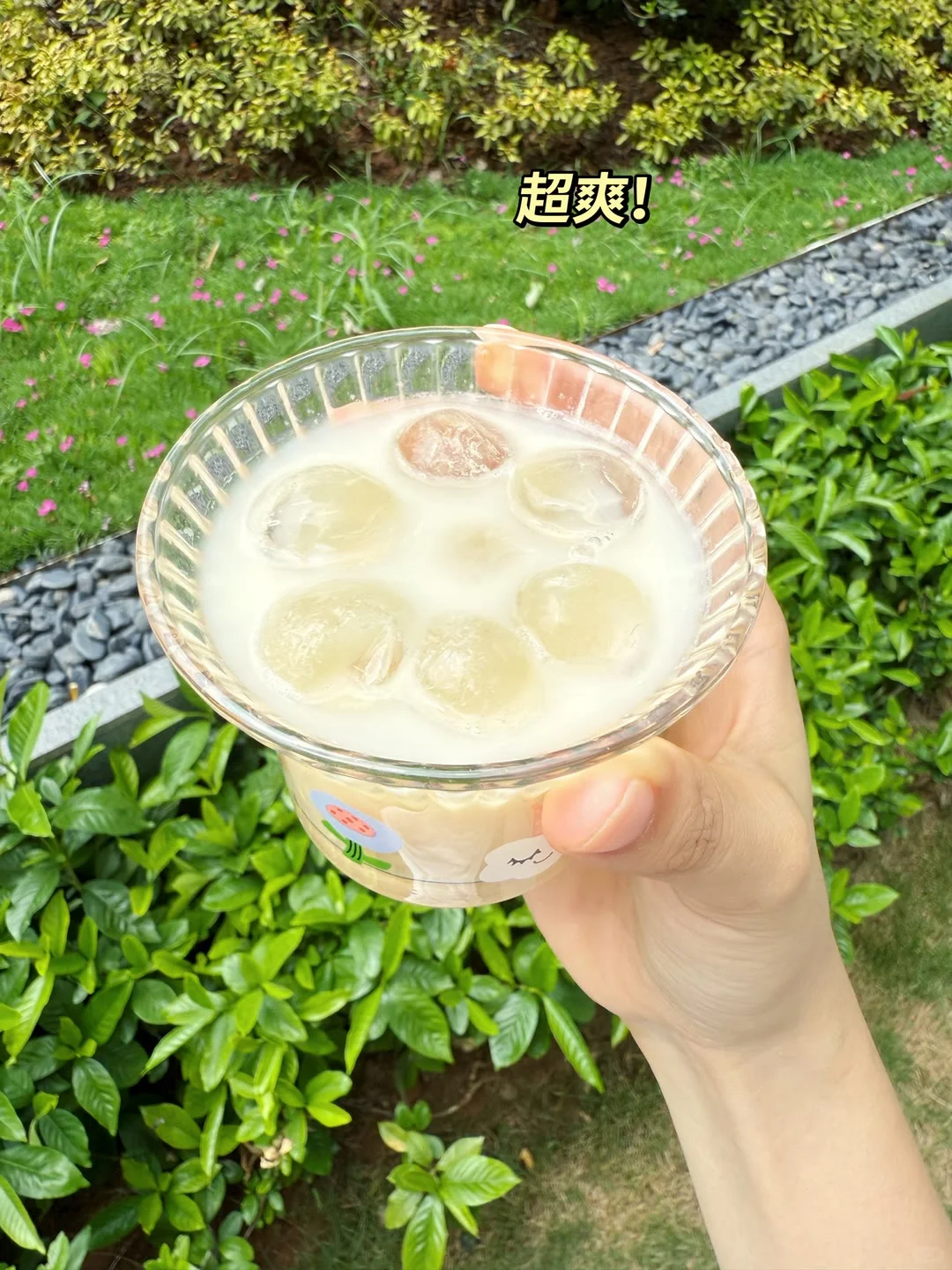 分享夏天巨巨巨好喝的饮料（0⃣️脂肪版）