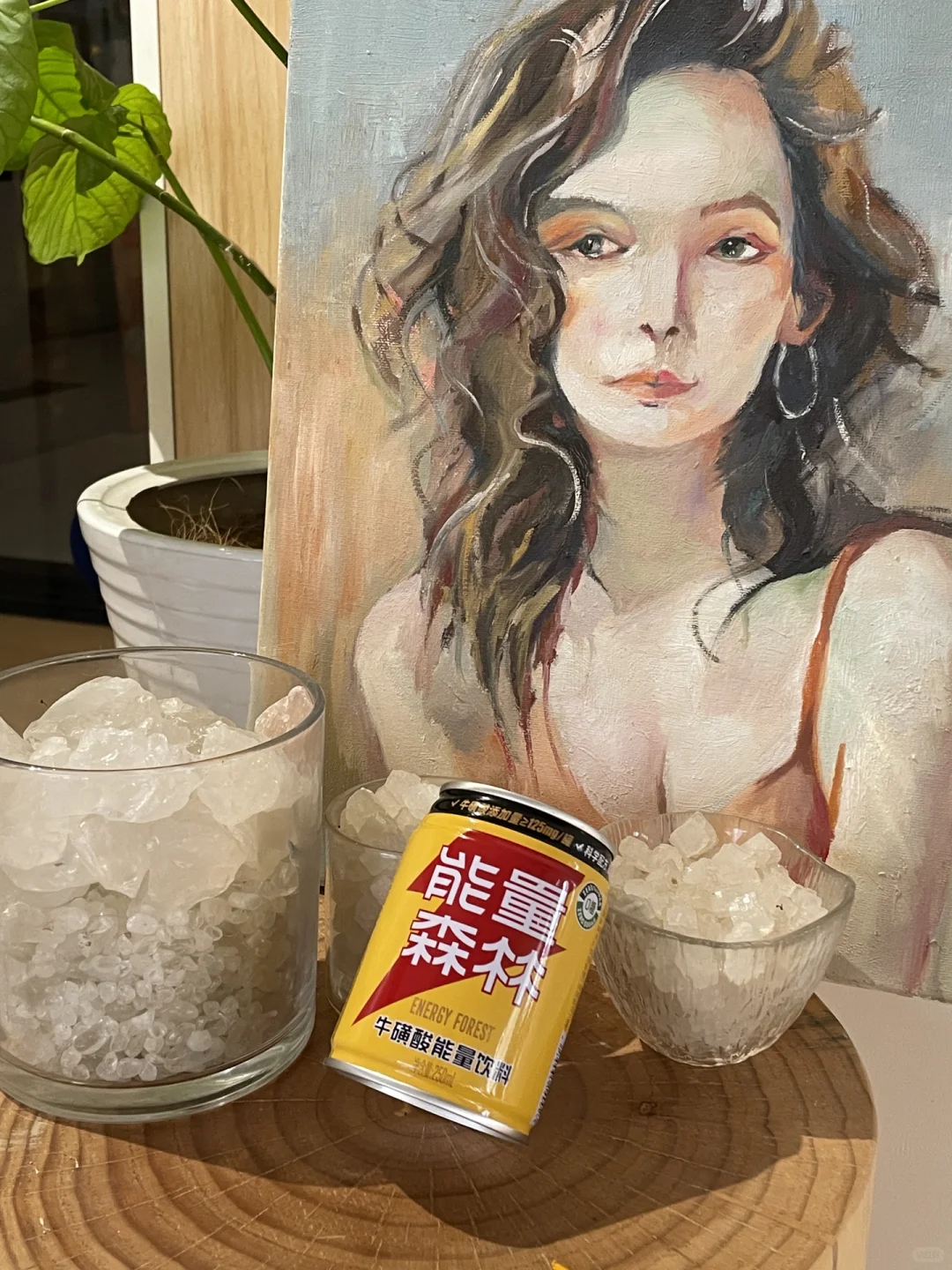 能量森林｜完美地平衡你的健康与生活