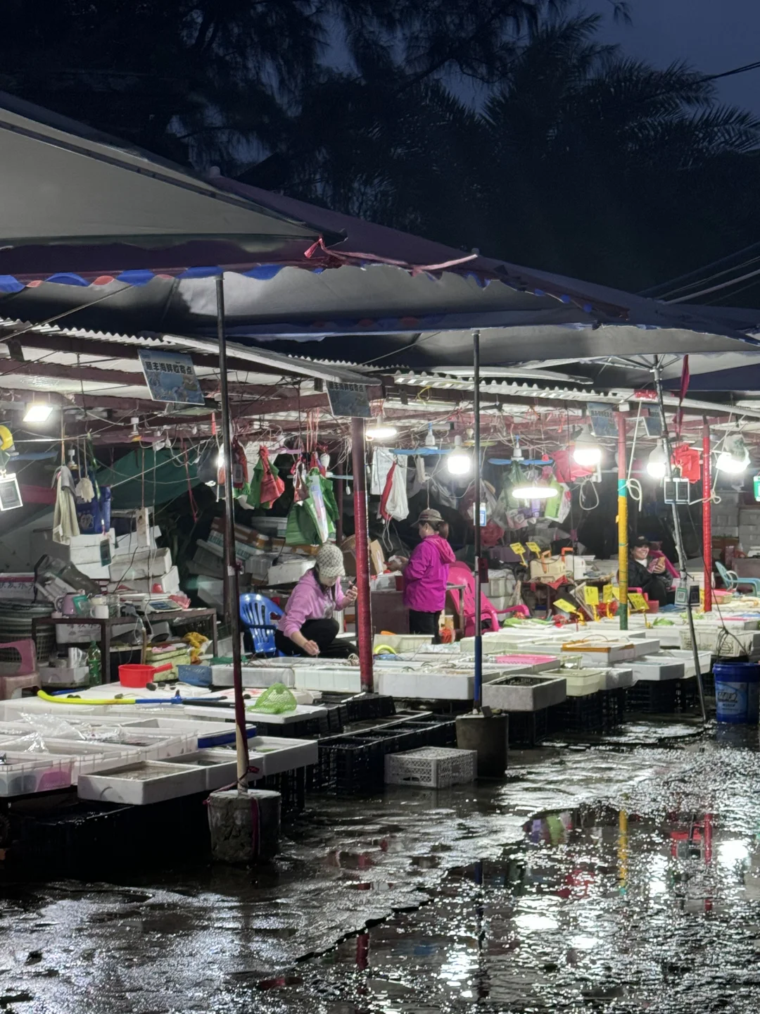 琼海潭门渔港|平价不踩雷+加工费只要13?