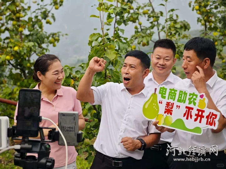 小屏幕链接大市场 新农人盘活土特产