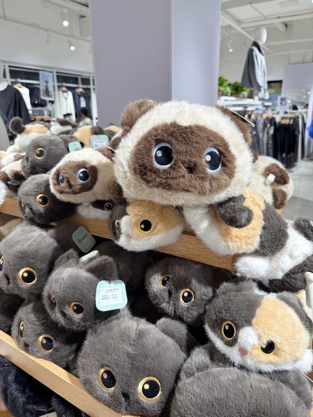 威海巨巨大的服装工厂店！?️好逛啦……