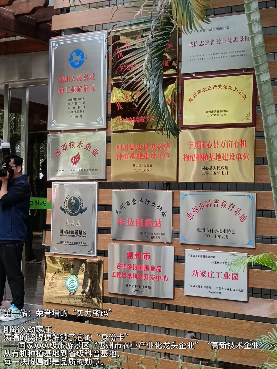 走进惠州劲家庄！！