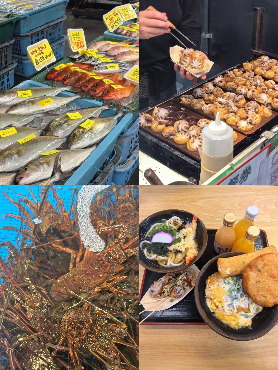 和歌山海鲜控必收!三大市场测评逛吃攻略