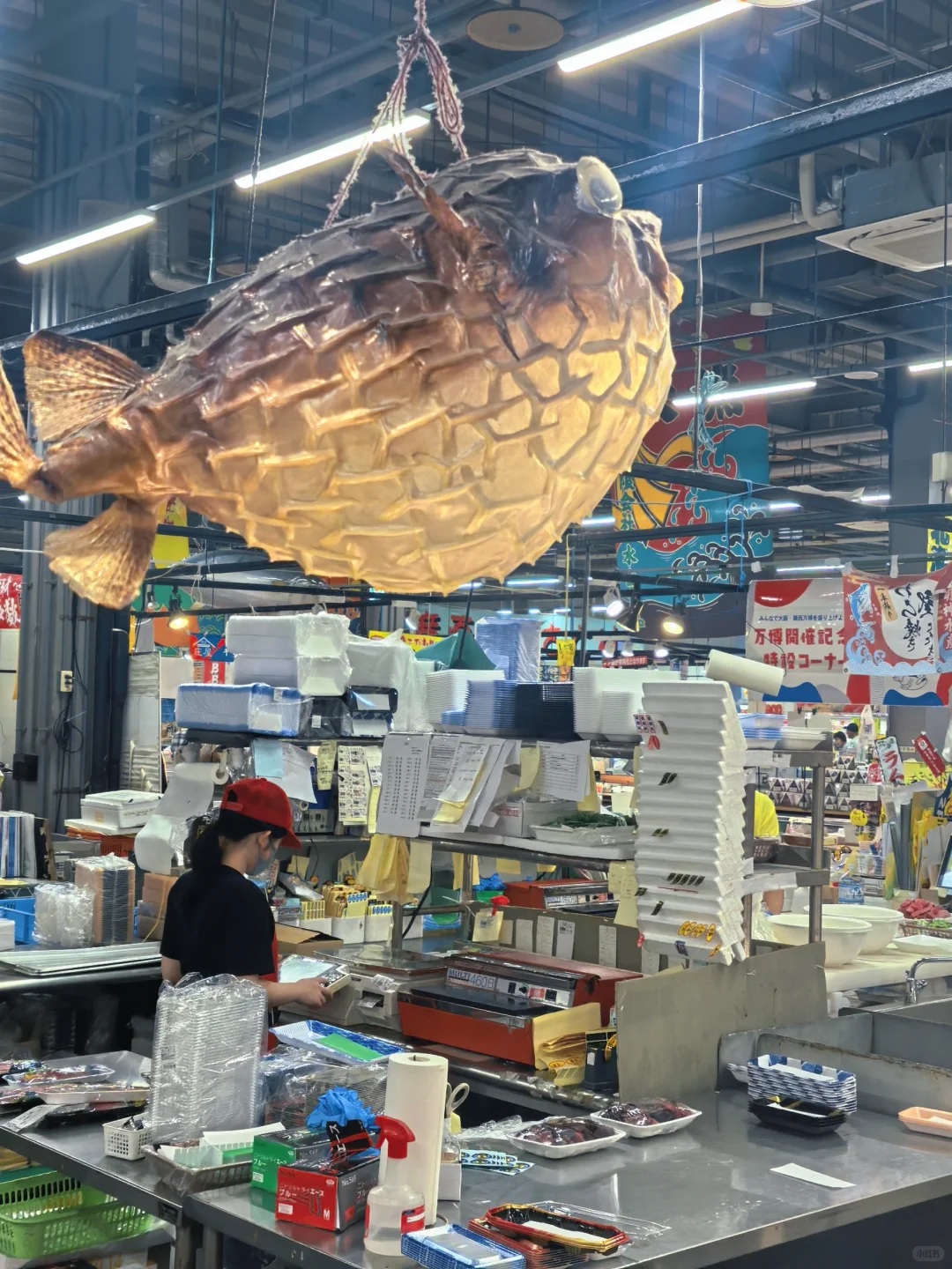 和歌山海鲜控必收!三大市场测评逛吃攻略