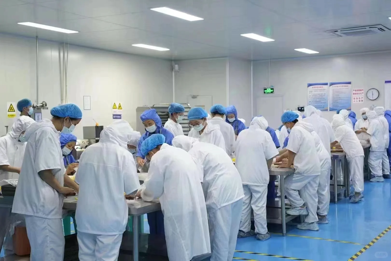 车间产能已拉满