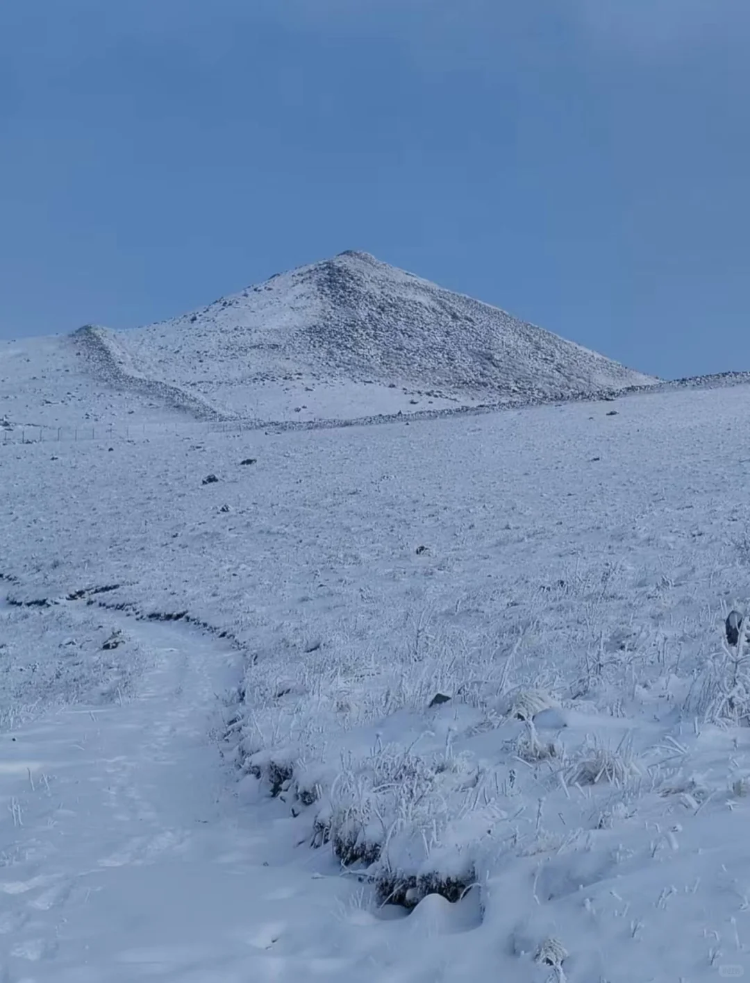 ?核心竞争力✨? 核心竞争力,简单来说,