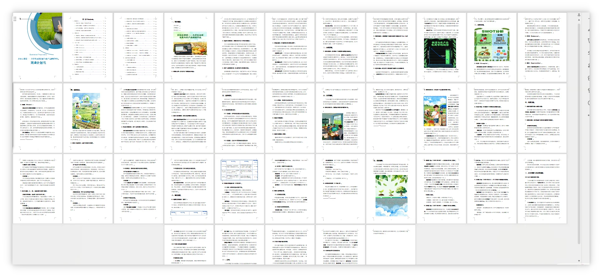 ?支教+农产品助销平台商业计划书➕ppt