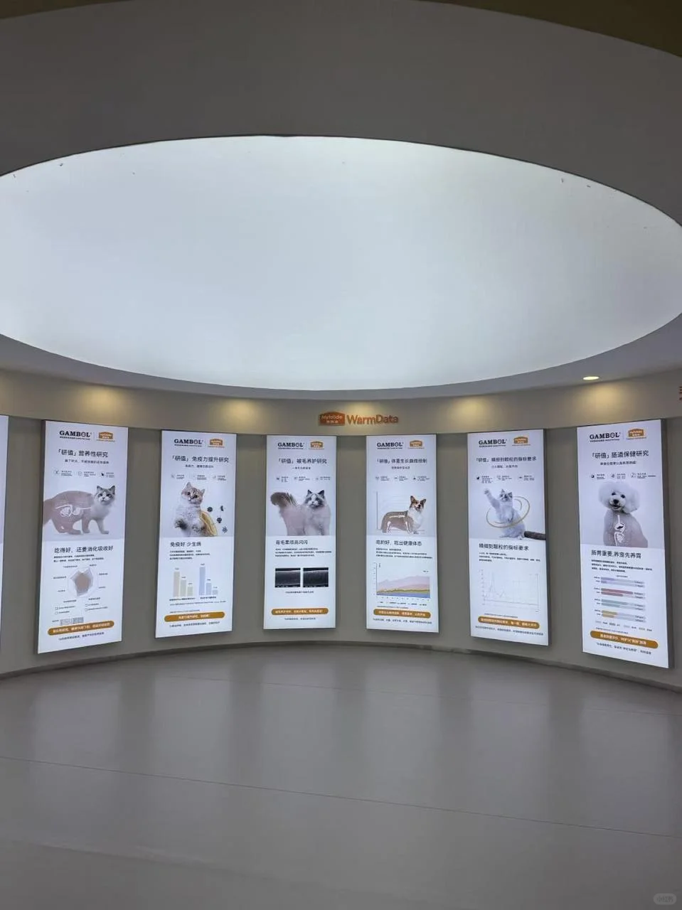 麦富迪这波宠娃操作，直接让我重新认识它！