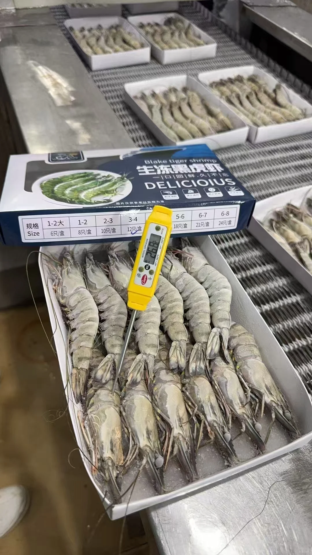 黑虎虾～生产线流程