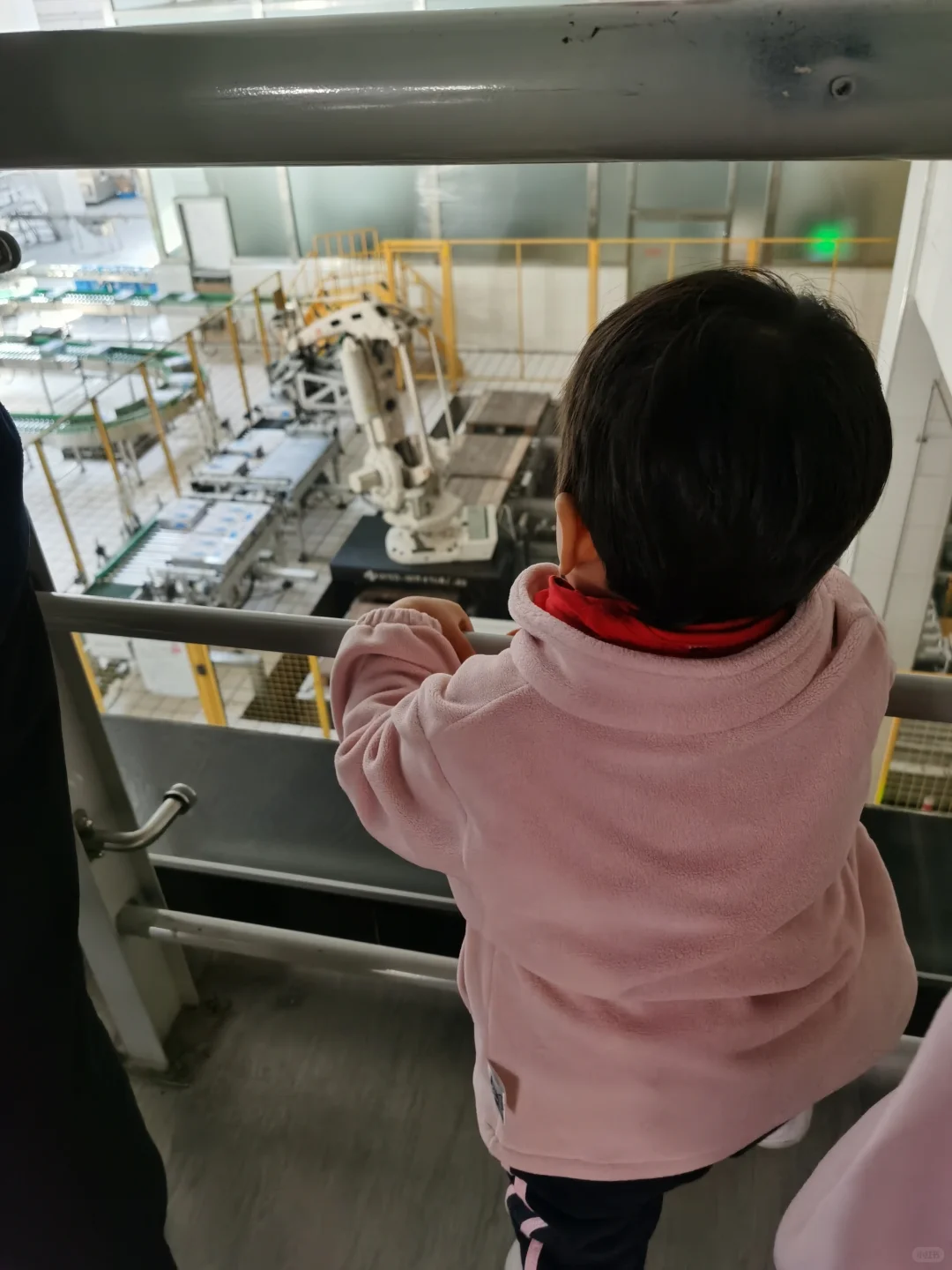 科普教育！原来我们喝的牛奶是这样来的！