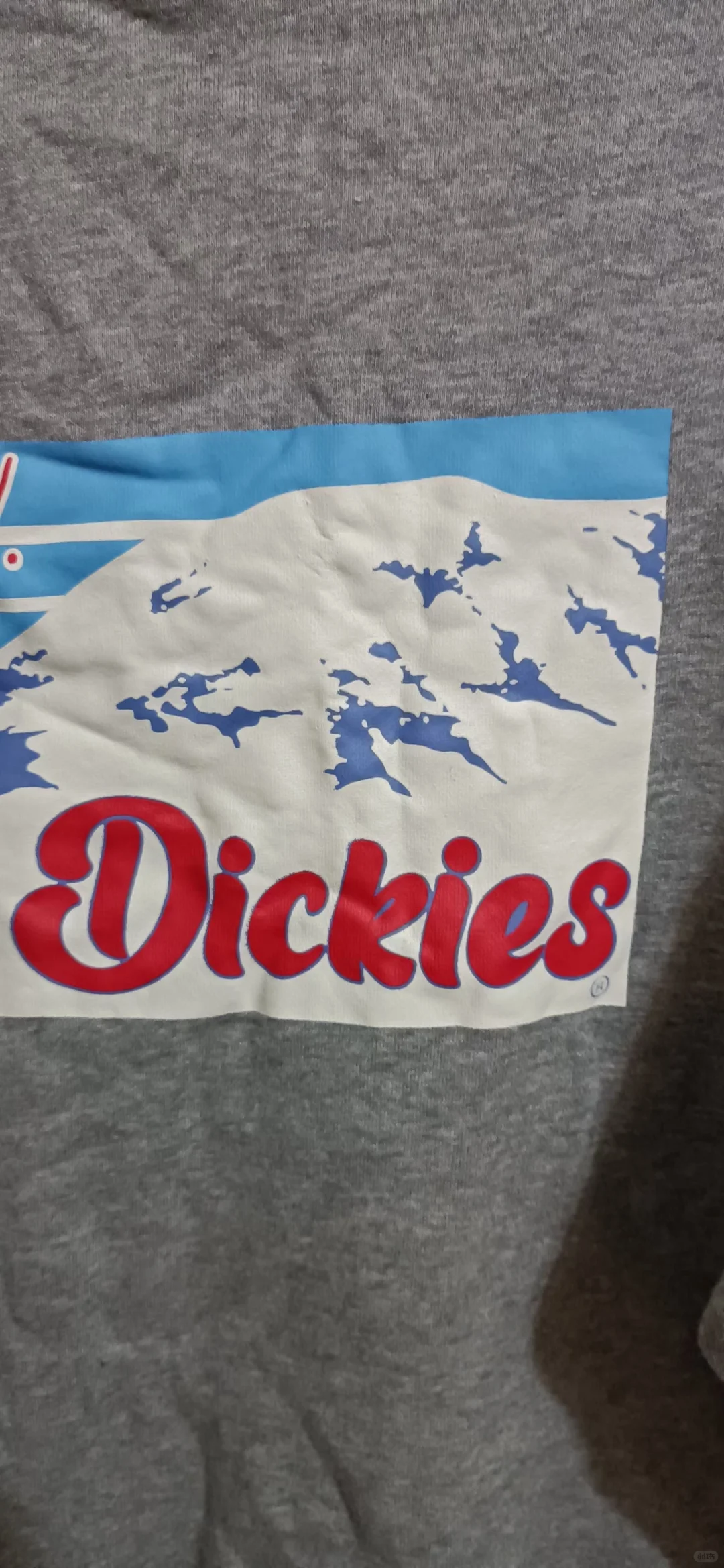 这件太好看了吧！