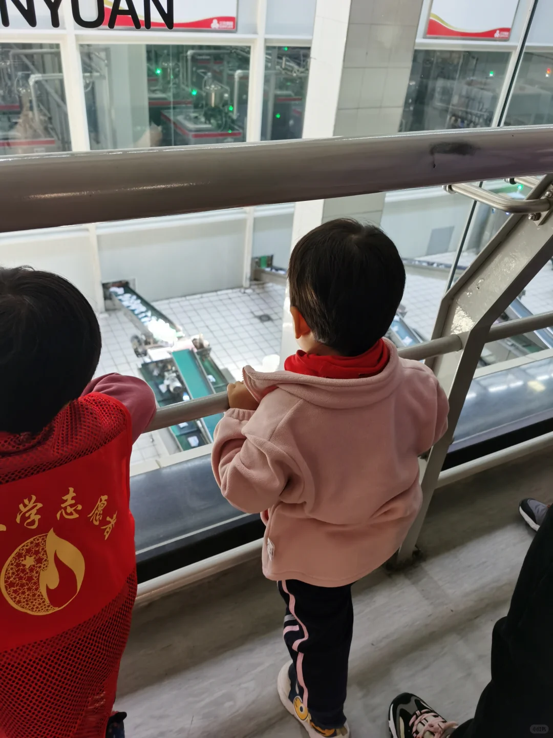 科普教育！原来我们喝的牛奶是这样来的！