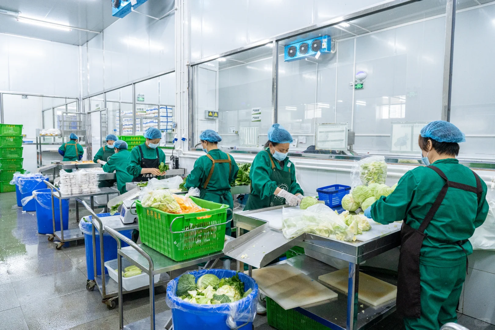 别再靠人工备菜了！净菜加工了解一下！?