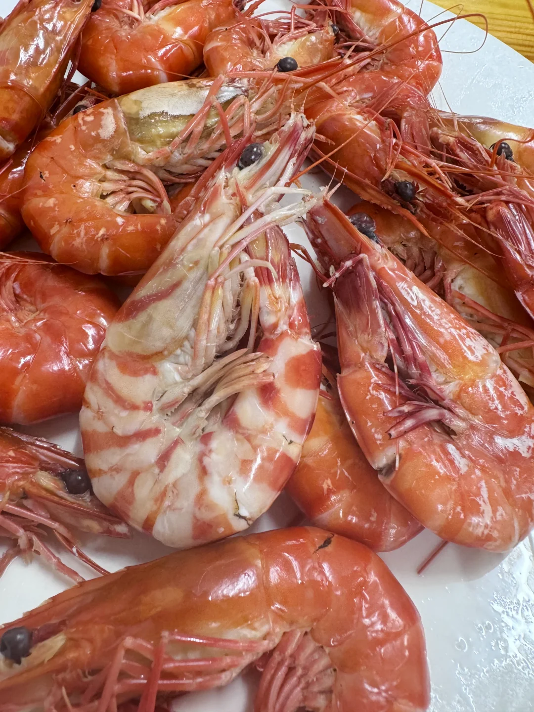 琼海潭门渔港|平价不踩雷+加工费只要13?