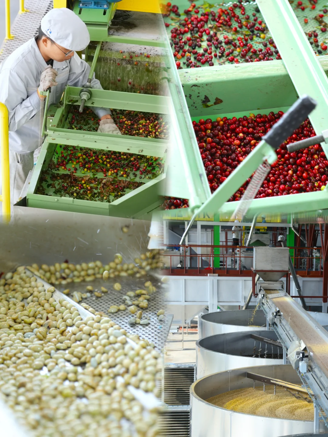 新工厂落成！坚持助力环保，坚持高品质咖啡