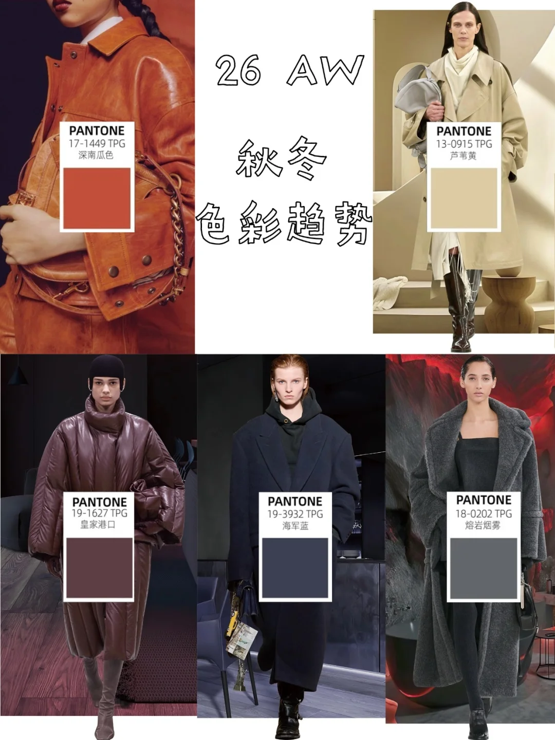 色彩审美提升?一起学配色，秋冬色彩趋势