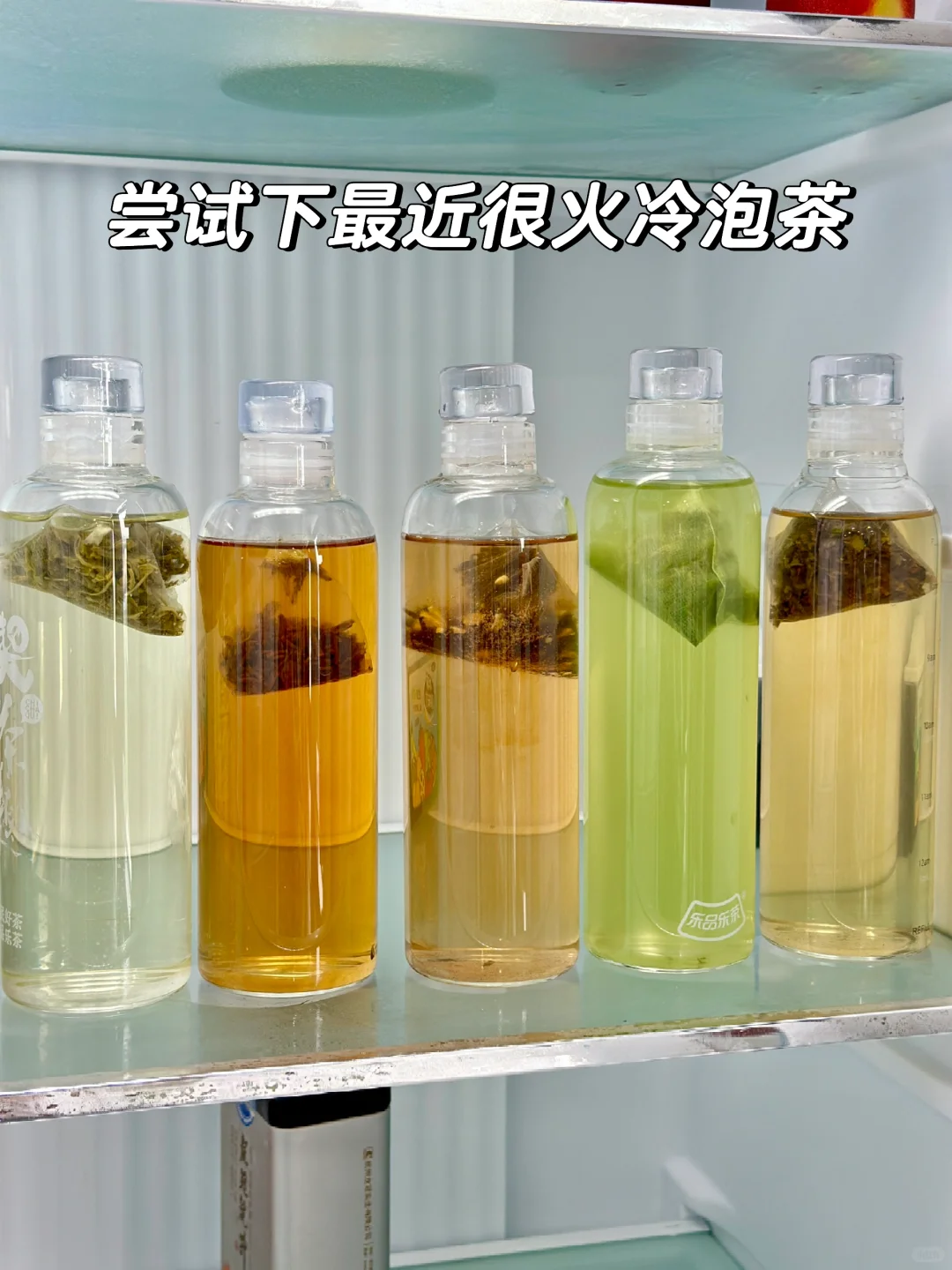 最近很火乐品乐茶冷泡茶测评