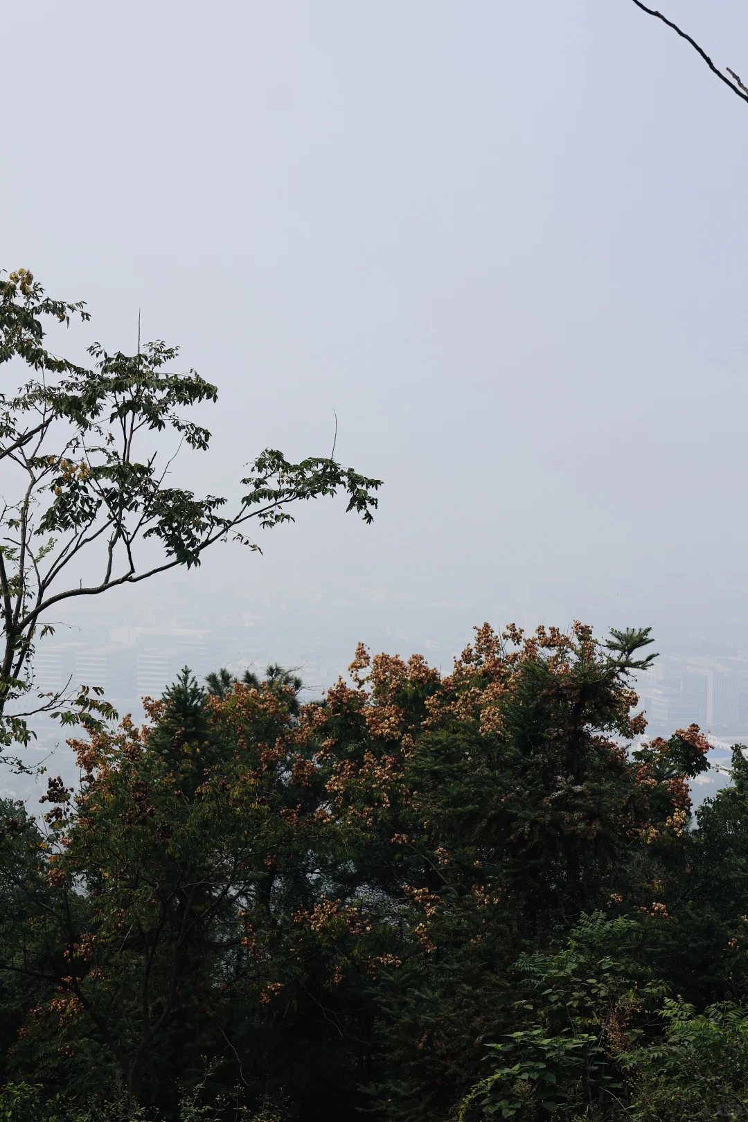 开启徒步新副本之苏州旺山