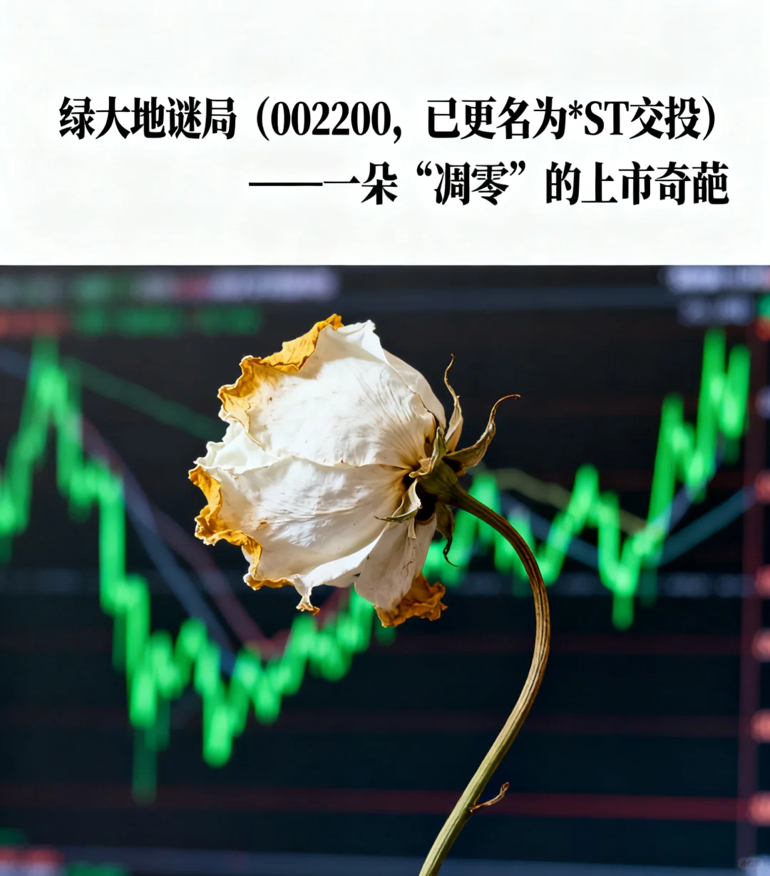 绿大地，一朵“凋零”的上市奇葩