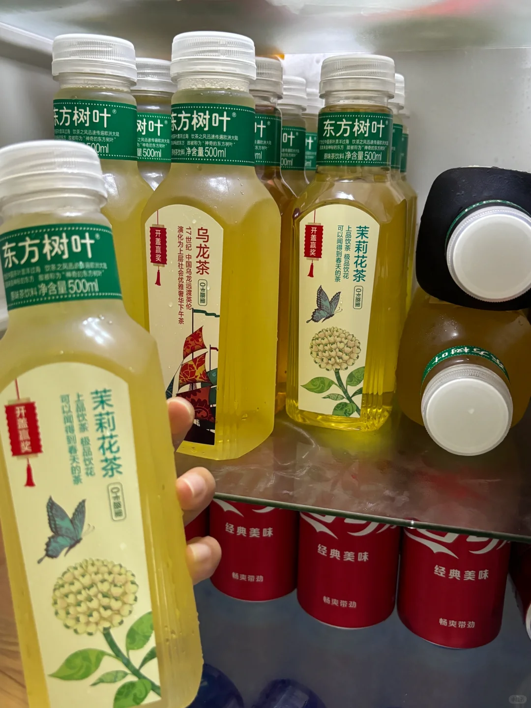 爱喝东方树叶的有福了！