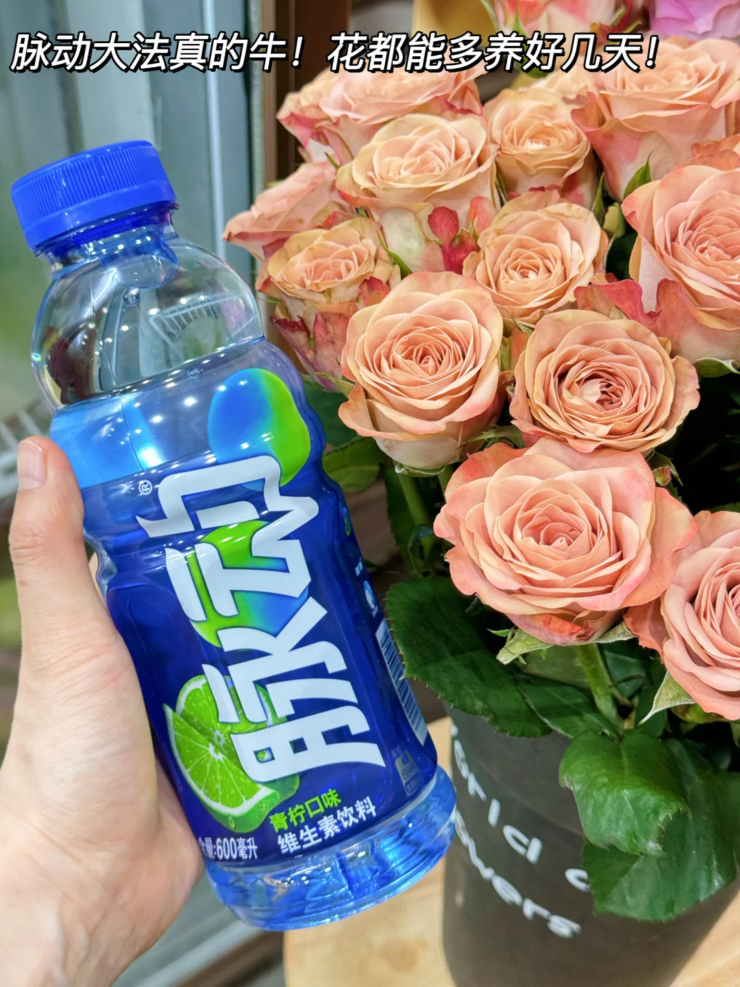 清爽又管用！这瓶脉动维生素复活水没人说吗！