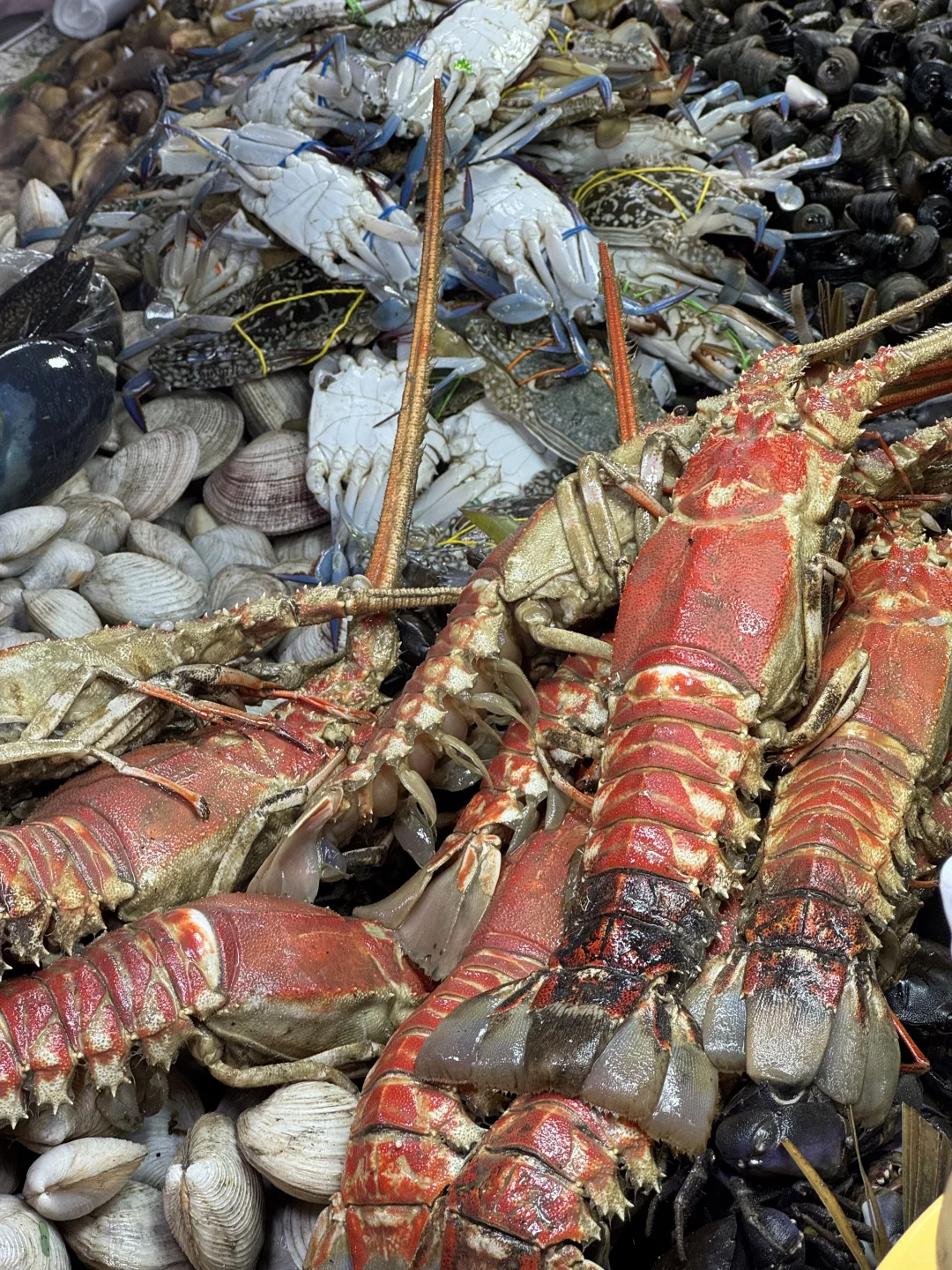 菲律宾薄荷岛最大海鲜市场，实现海鲜自由