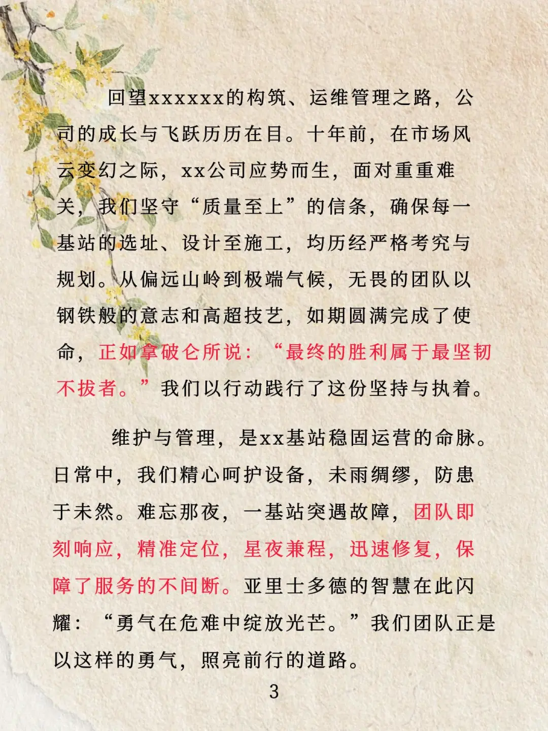 公司回顾展望-《xx公司：光辉历程与未来》