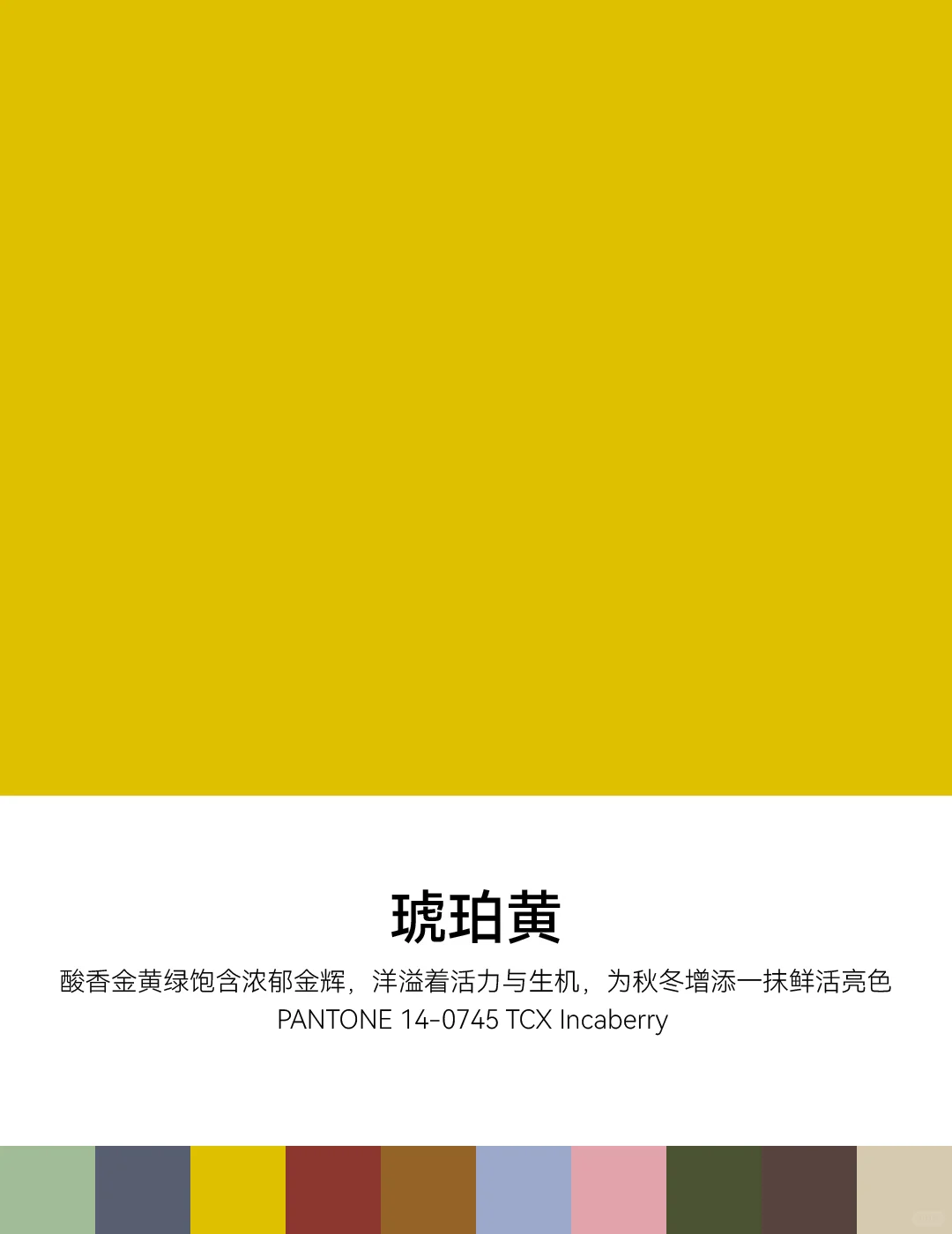2025/2026秋冬中国国际时装周PANTONE流行色