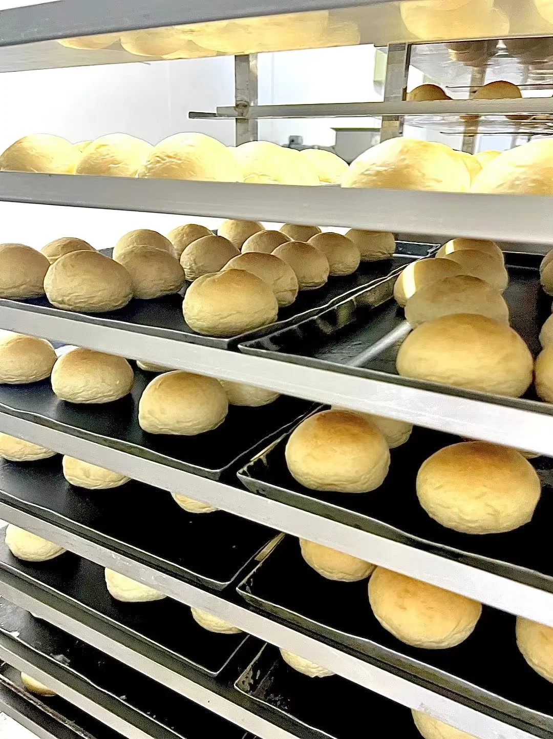 BEAR厂区制作现场??‍?