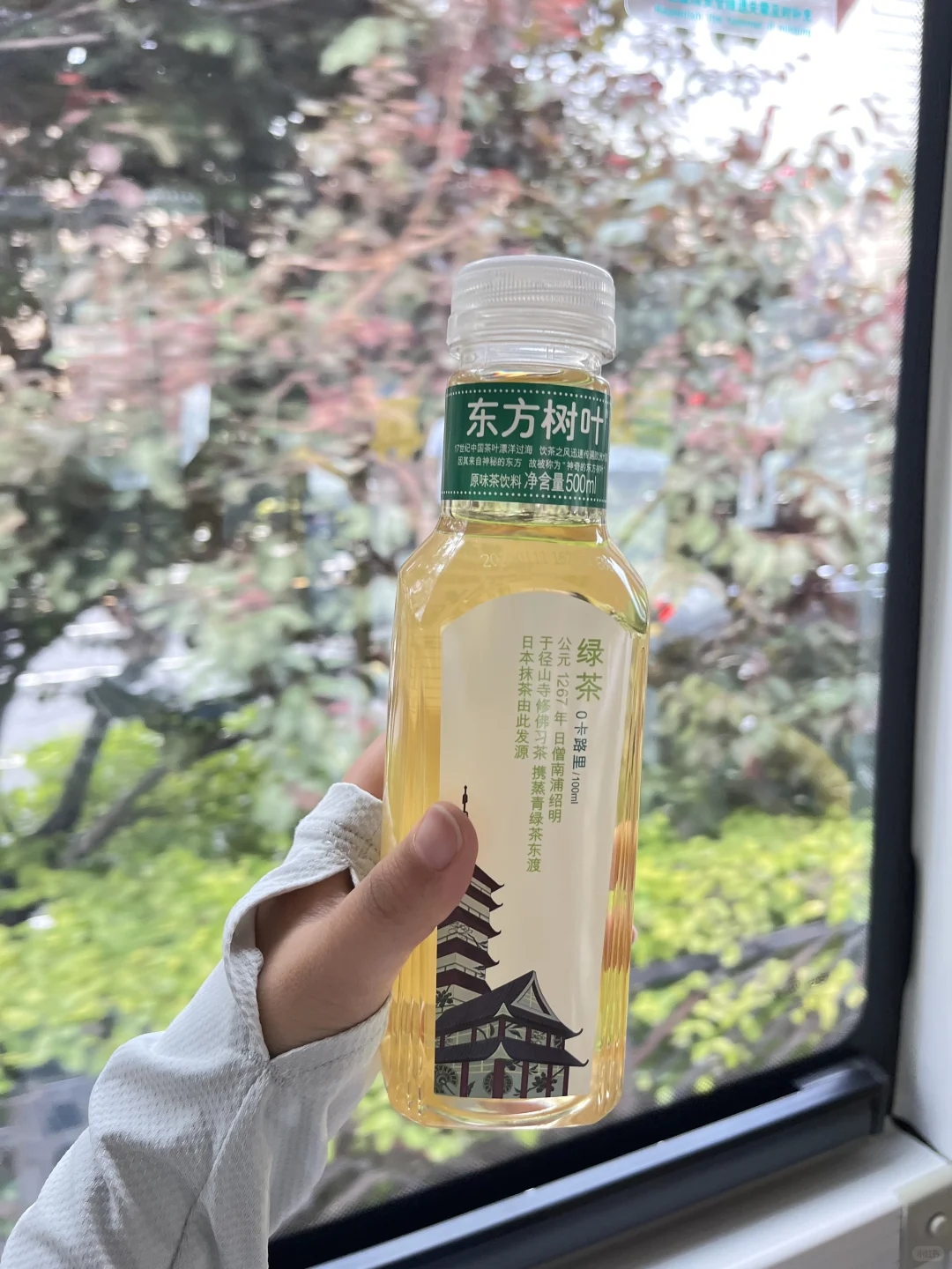 酷爱东方树叶这款红茶