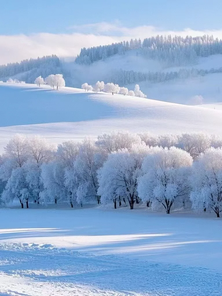 ?核心竞争力✨? 核心竞争力,简单来说,